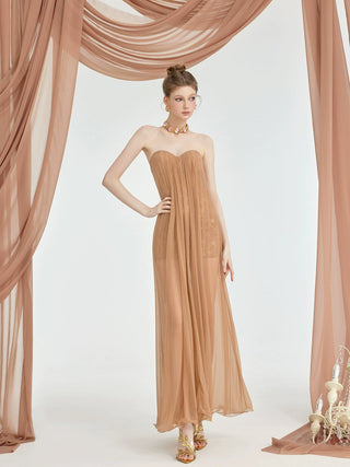 Thea Strapless Mesh Backless maxi Dress in brown