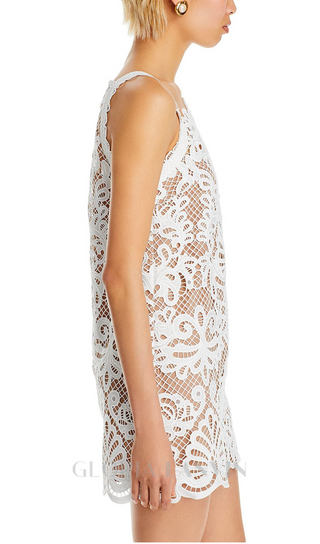 ODELETTE WHITE GUIPURE LACE MINI DRESS