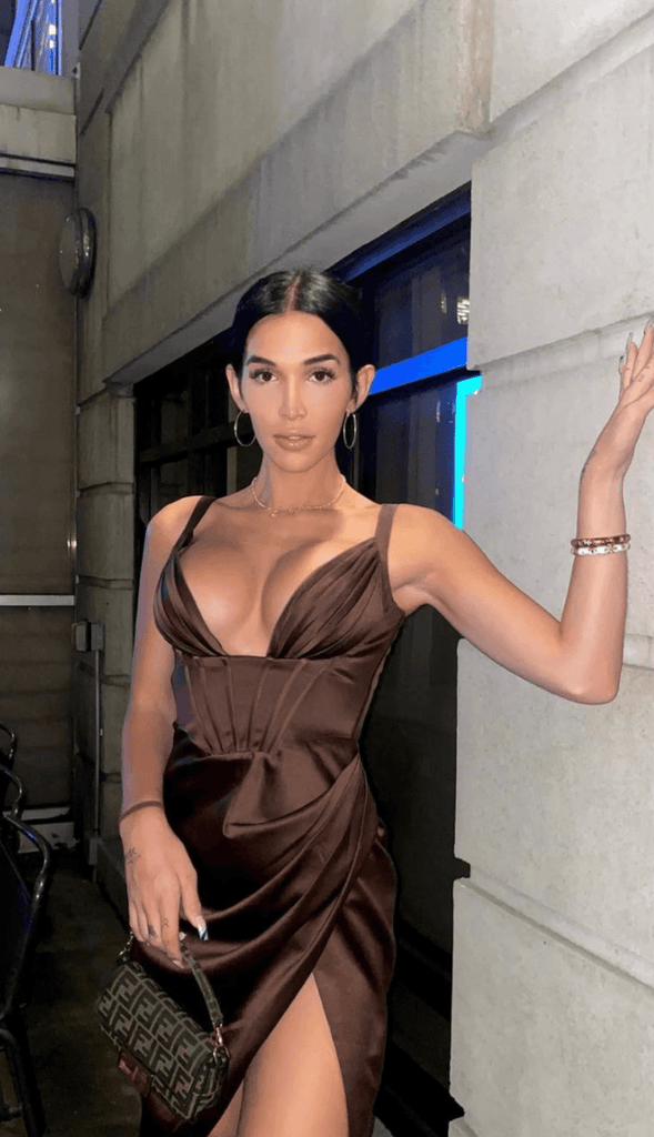 CEREDA CHOCOLATE SATIN MINI DRESS ohmogo 