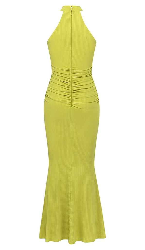 ROSE-EMBELLISHED HALTER MAXI DRESS IN FADED GREEN DRESS STYLE OF CB 